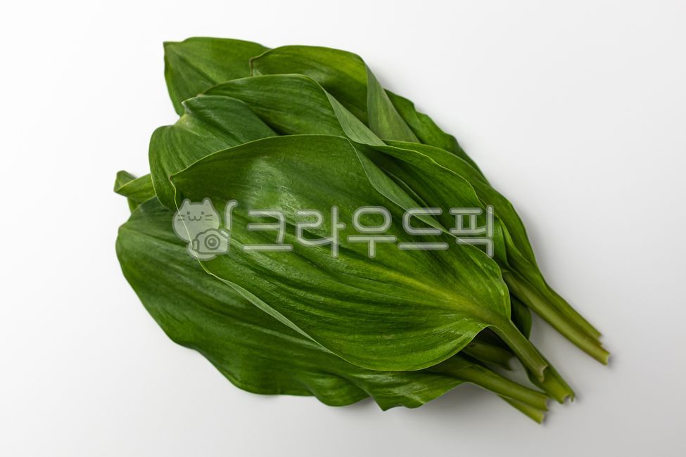 명이,산마늘,부추,산나물,잎,나물,채소,식물,동아시아음식,음식,식사,식품,식료품,재료,식재료,음식재료,클로즈업,길쭉한,얇은