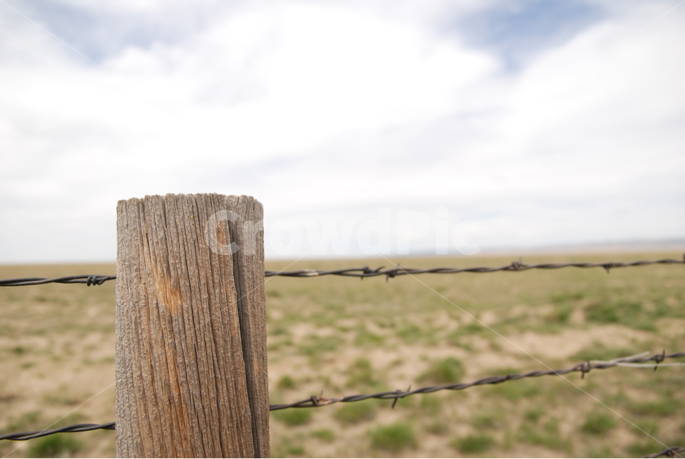 들판,들,하늘,구름,울타리,기둥,풀,가시철사,철사,가시,grass,land,field,sky,cloud,fence,fencing,pole,barbedwire,barbed,wire