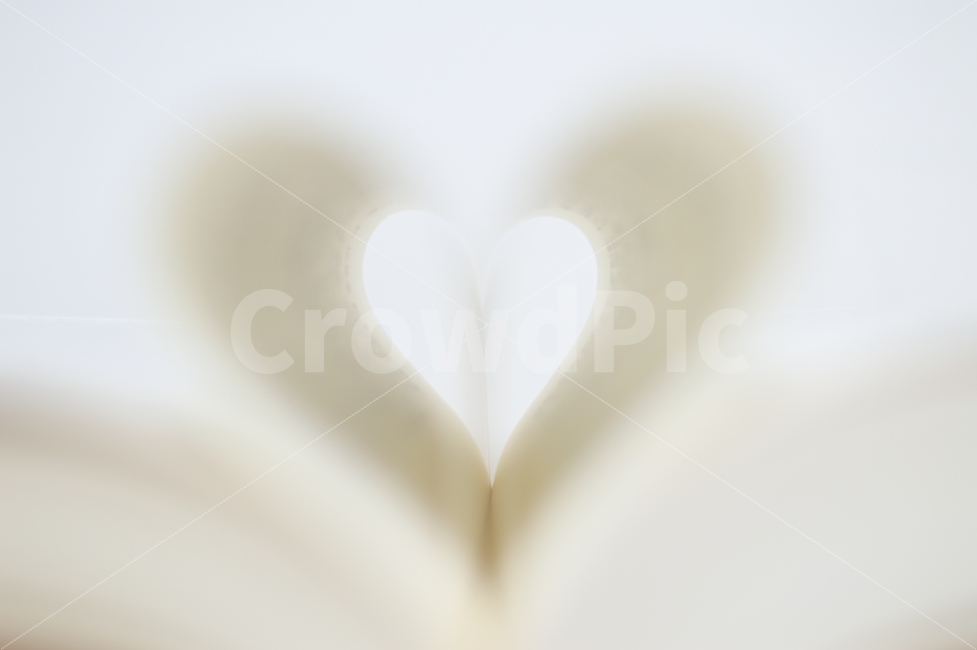 하트,사랑,책,북,독서,공부,배경이미지,학습,종이,흰,흰색,화이트,책장,책상,테이블,하드커버,스튜디오,컨셉,연출,페이지,공책,메모장,다이어리,메세지,글,글씨,소설,학문,도서관,도서실,지식,식견,지혜,취미,교양,출판,연구,서점,독서실,여백,공간,도서,여가생활,대학,텍스트,데스크,학생,하얀,생각,읽기,문학,문헌,표지,커버,컨셉트,콘셉,콘셉트,비즈니스,비지니스,백그라운드,바탕,배경,이미지,아웃포커스,연출사진,감정표현,기분,feeling,emotion,연출,컨셉,콘셉,direction,concept,교육,학교,공부,education,learning,study,school