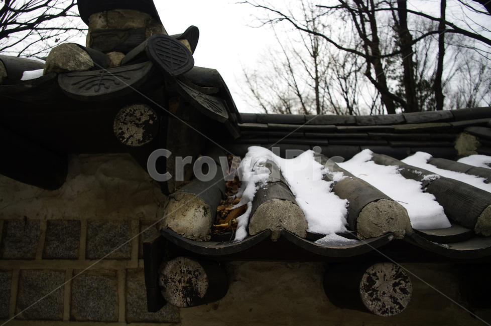 traditional,전통,기와지붕,겨울,winter,눈,길,나무,식물,plant,겨울,계절,winter,season,한국전통,한국문화,korean traditional,korean culture,건축물,건물외관,exterior,building,structure,architecture,construction