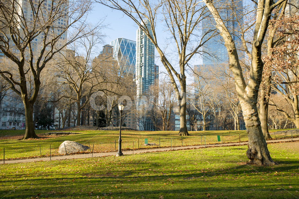 beautiful,beauty,centralparknewyorkcity,colorful,field,forest,garden,green,landscape,natural,nature,outdoor,park,plant,season,spring,tree,trees,wild,wildlife,뉴욕,센트럴파크,미국,공원