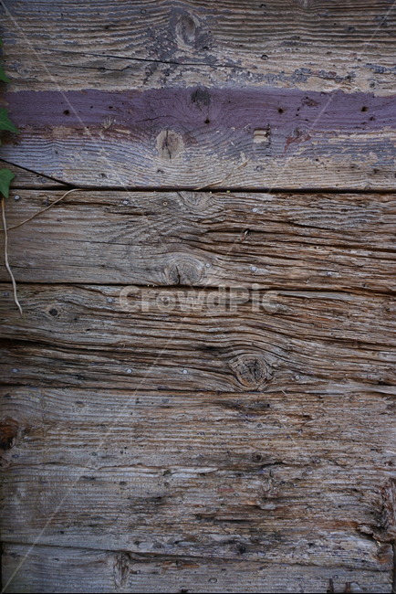 나무,나무결,목재,땔감,wood,벽