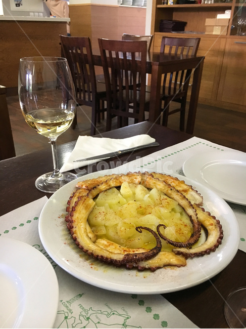 의자,chair,vinoblanco,whitewine,화이트와인,백포도주,vino,wine,pulpo,문어,요리,cuisine,food,dish