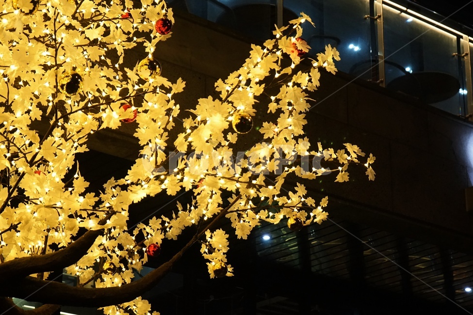 크리스마스,성탄절,연말,겨울,전구,전등,christmas,tree,bulb,light,greetings,겨울,계절,winter,season,야경,밤,풍경,nightscape,night,landscape,메리크리스마스,성탄절,merry christmas,lighting,조명