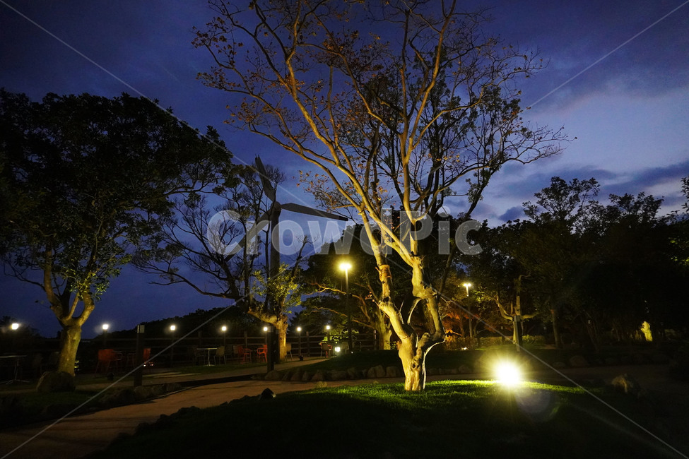 제주풍경,풍차,야경,조명,밤하늘,식물,plant,야경,밤,풍경,nightscape,night,landscape