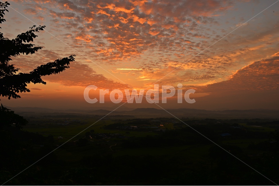 nature,자연,scenery,풍경,outdoors,옥외,landscape,경치,sunlight,햇빛,flare,플레어,light,빛,함평,밀재,밀재일출,아침,해돋이,여명