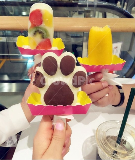 아이스크림,이쁘다,강아지발바닥,과일아이스크림,초코릿아이스크림
