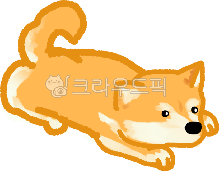 시바견,강아지,개,댕댕이,귀여운,누렁이,엎드려,강쥐,보리