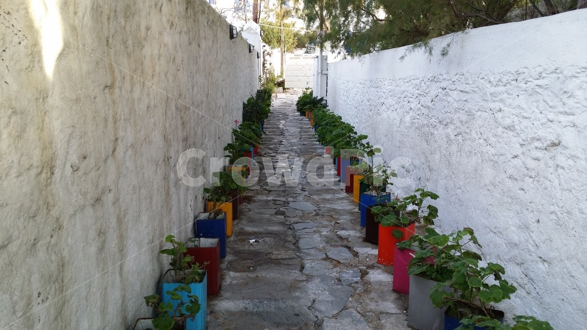 화분,예쁜길,식물,페인트통,길풍경,골목길,골목,골목길,alley