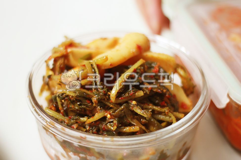 side dish,Radish kimchi,kimchi,Kimchi side dish,bachelor kimchi,Young radish kimchi,cold,Altari Kimchi