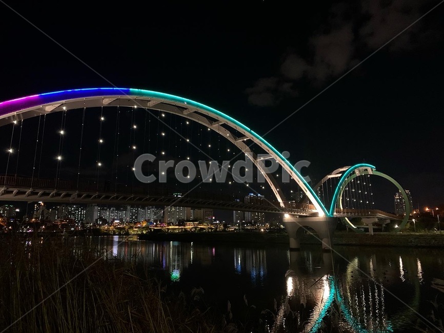 다리,bridge,울산,태화강,야경,야경,밤,풍경,nightscape,night,landscape