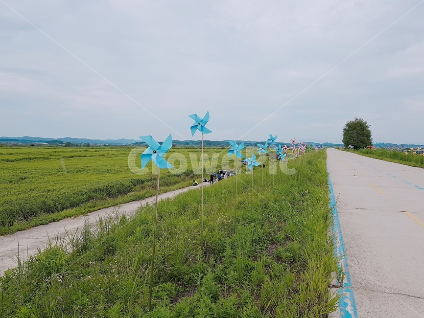 road,도로,바람개비,바람개비동산,풍경