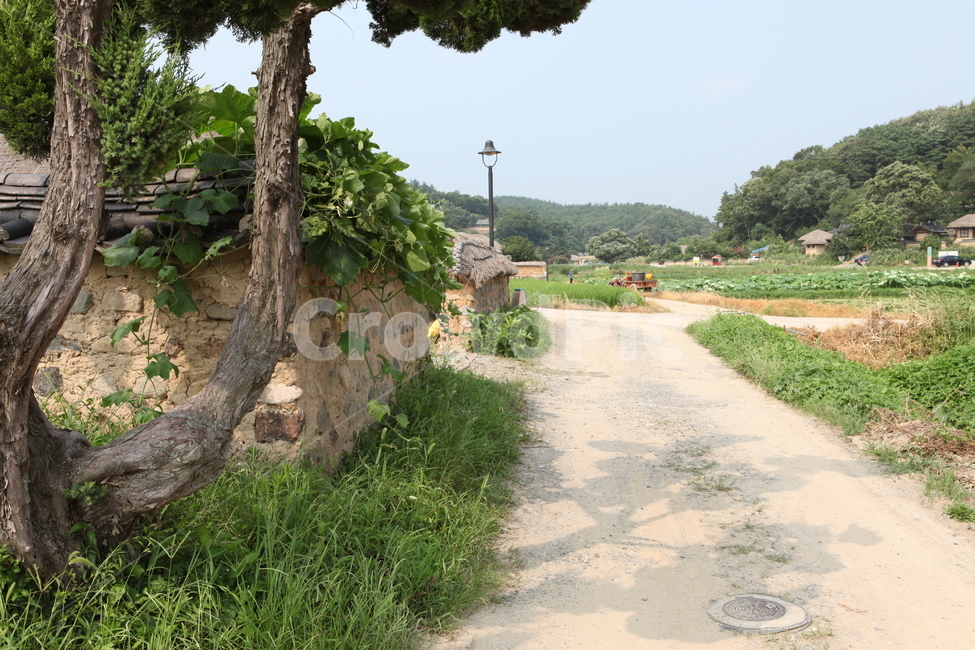 고택,문화유산,양동마을,풍경,전통가옥,자연,풍경,nature,landscape,한국자연풍경,한국자연경관,korea nature landscape,시골,마을,country,rural,town,한국전통,한국문화,korean traditional,korean culture