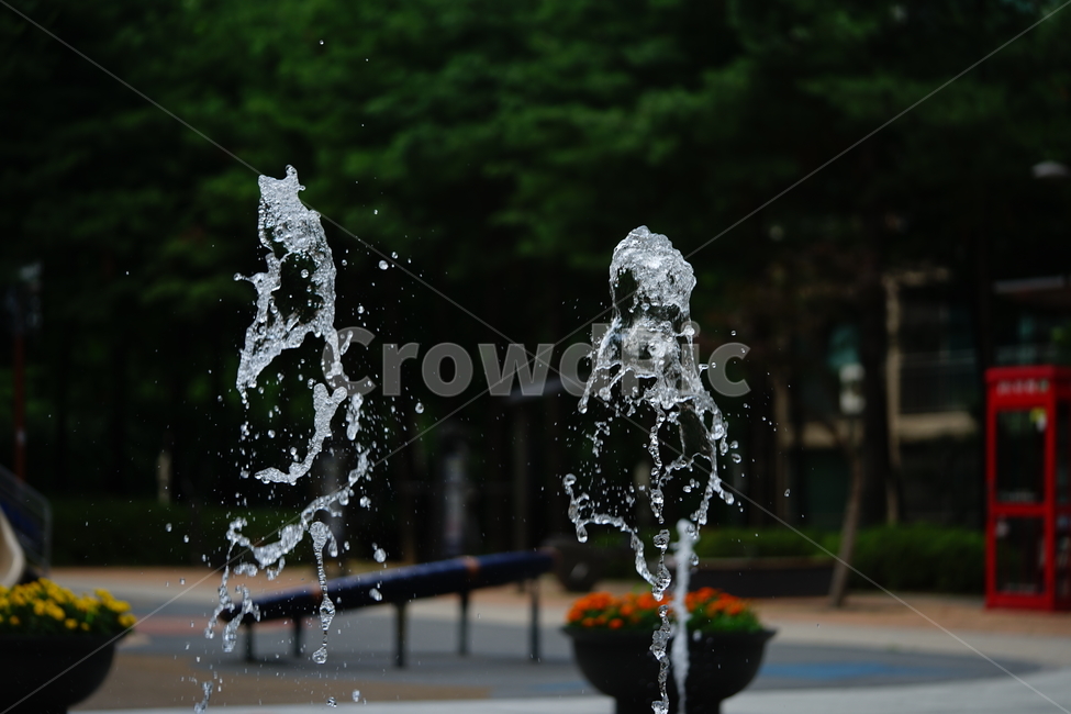 분수,물,물줄기,여름,계절,water,순간,순간포착,더위,summer,여름,계절,summer,season,fountain