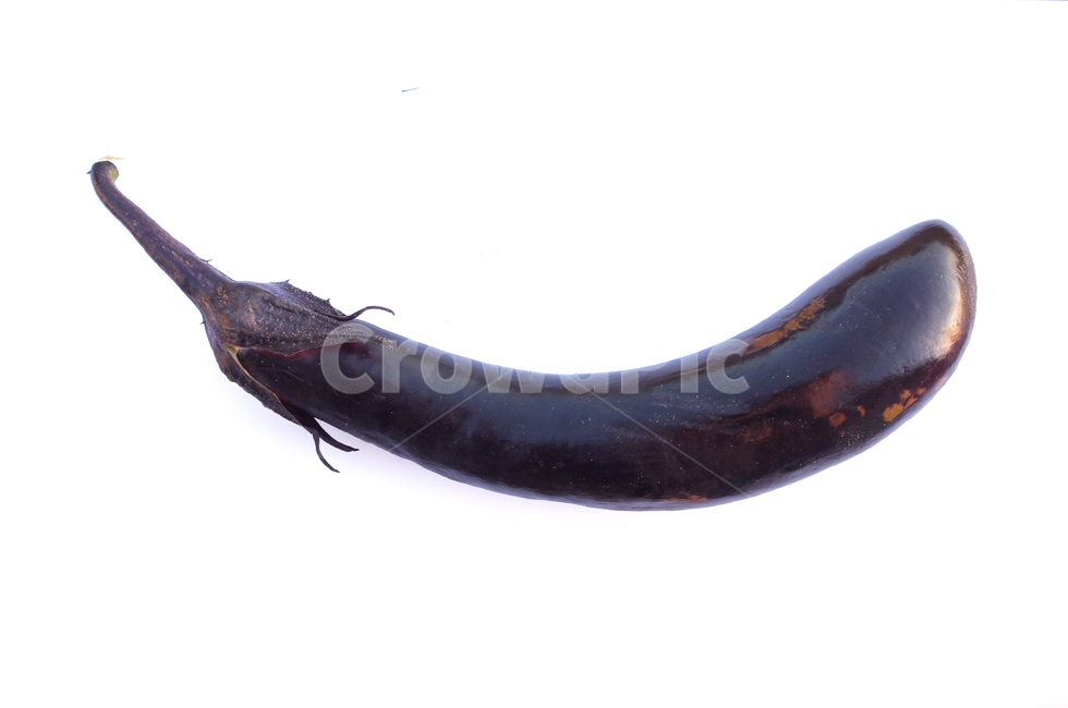 가지,야채,채소,보라색,보라,퍼플,식재료,음식,식물,열매,흰배경,food,vegetables,eggplant,aubergine,violet,purple