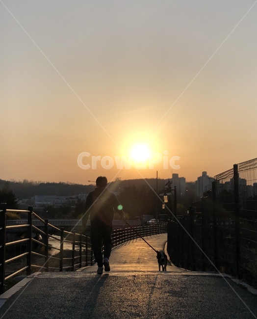노을,동반자,light,빛,person,반려견,강아지,산책,해질녁,사랑스러운,약속,다짐,노을하늘,하늘,sky