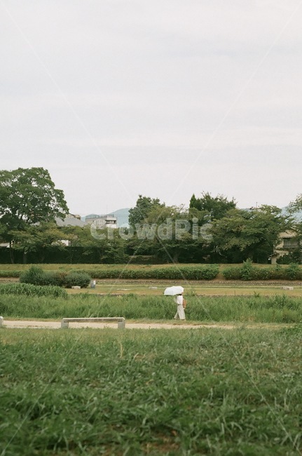 일본,감성사진,필름,필름카메라,교토,산책,emotional,film,walk,green,nature,japan,자연,풍경,nature,landscape,outdoors,옥외,grass,잔디,plant,식물