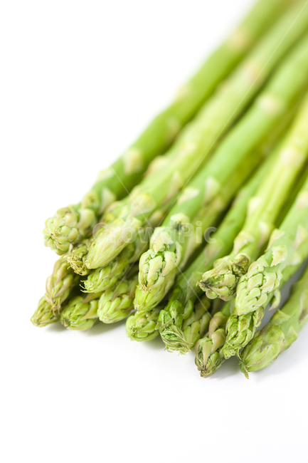 아스파라거스,asparagus,아스파라거스누끼,누끼,채소,plant,식물,vegetable,야채,food,식품,채소,야채,vegetables,연출,컨셉,콘셉,direction,concept