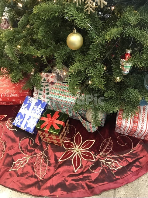 tree,나무,christmastree,크리스마스트리,ornament,장식,plant,식물,선물,underthetree,gifts,present,presents,크리스마스나무,겨울,winter