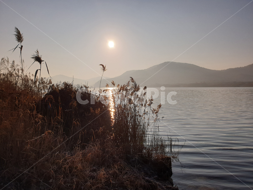 새해,아침해,일출,일몰,호수,강,고요함,쓸쓸,물,lake,sunset,sun,sunrise,river,reed,갈대