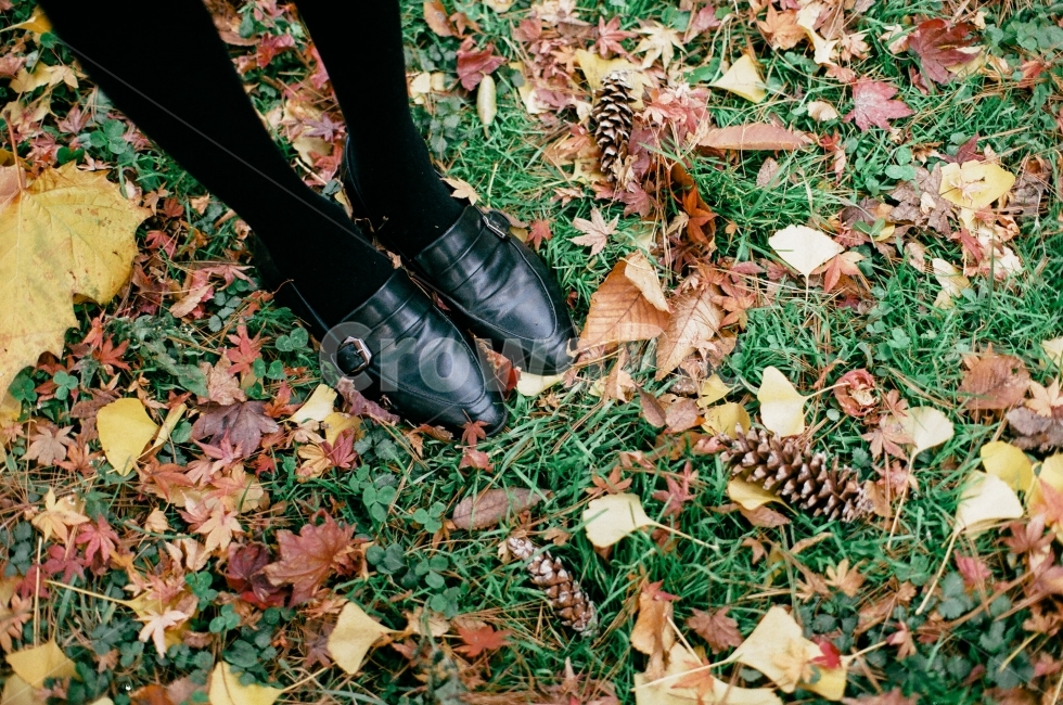 단풍,가을,구두,감성사진,소품,솔방울,은행나무,낙엽,가을,계절,fall,autumn,season,사람,인물,인간,human,person,신체일부,몸,body,패션스타일,의상,fashion,style,감성,sensible,feeling,leaf,잎,plant,식물,ground,바닥
