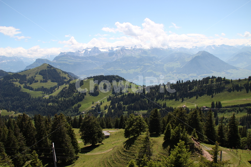 스위스,리기산,산,swiss,rigimountain,mountain,자연,풍경,nature,landscape,해외,외국,세계,foreign,oversea,world,세계자연풍경,해외자연풍경,외국자연풍경,world nature landscape,abies,아비,tree,나무,plant,식물,fir,전나무,slope,경사,outdoors,옥외