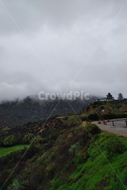 나무,tree,자연,날씨,nature,weather,구름,cloud,hollywood