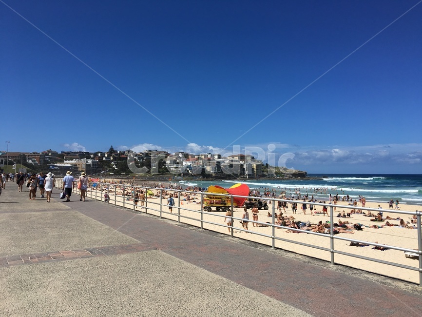 beach,바다,해변,여름,사람