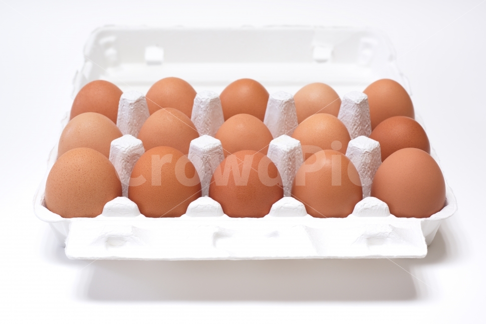계란,달걀,음식,식재료,먹다,계란판,식료품,egg,단백질,담겨있는,신선,재료,오브젝트,요리,한판,계란한판,신선함,신선한,후레쉬,정렬,음식,식재료,요리,food,cook,meal,dishes,food reserves