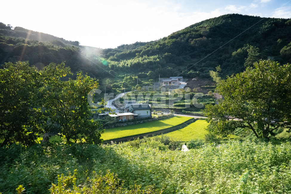 nature,자연,outdoors,옥외,grassland,목초지,field,들,countryside,시골,산,mountain,벼,나무,풀,마을,시골,마을,풍경,landscape,country,rural,town