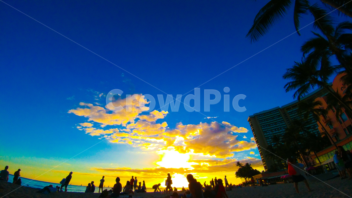 waikiki,hawaii,하와이,해변,노을,와이키키,구름,감성,sunset,바다,사람들,대중,군중,other people,crowd,인물실루엣,사람실루엣,character silhouette,human silhouette,nature,자연,outdoors,옥외,person,사람,human,인간,sunlight,햇빛