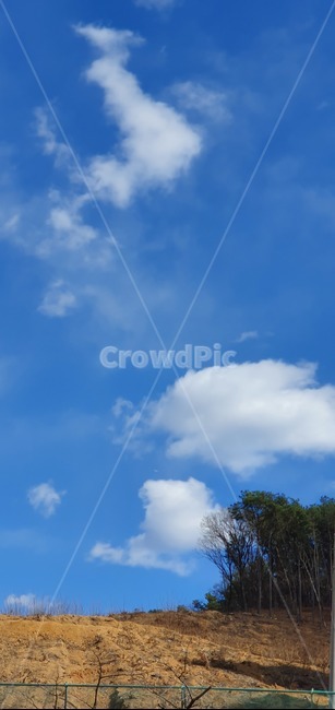 nature,자연,sky,푸른하늘,하늘