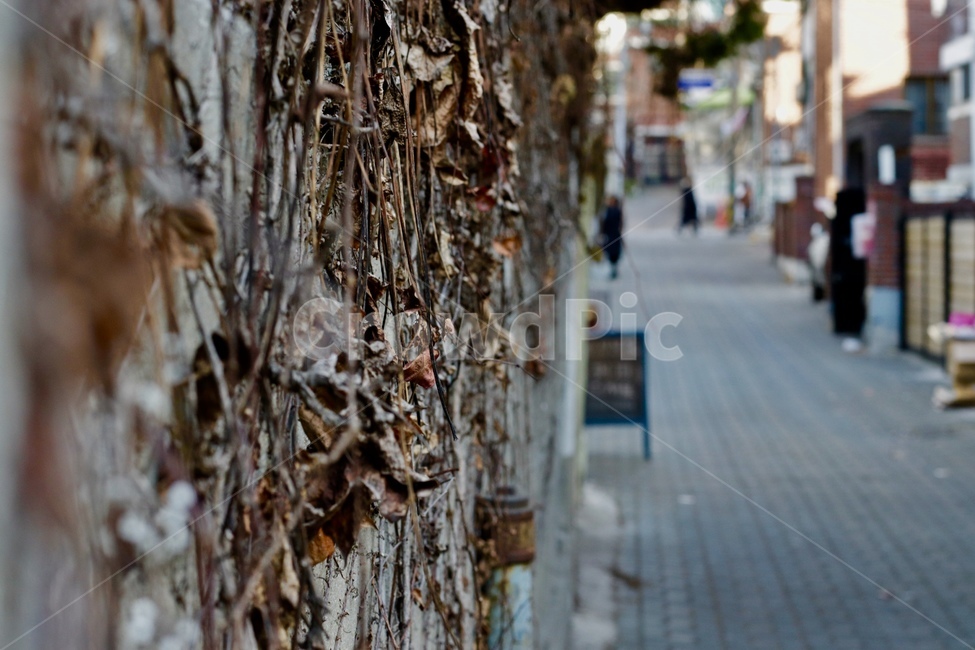 골목,겨울,감성,고독,외로움,담벽,연남동,겨울,계절,winter,season,골목길,alley,path,통로