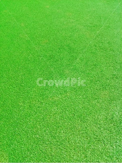 그린,잔디,잔듸,green,초록,초록색,초록잔디,운동장