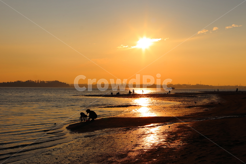 바다,sea,갯벌,mudflat,바닷물,썰물,밀물,조개,소라,게,생물,다리,전망대,산책,섬,하늘,구름,서해,간조,만조,채집,관찰,해변,석양,해수욕장,노을