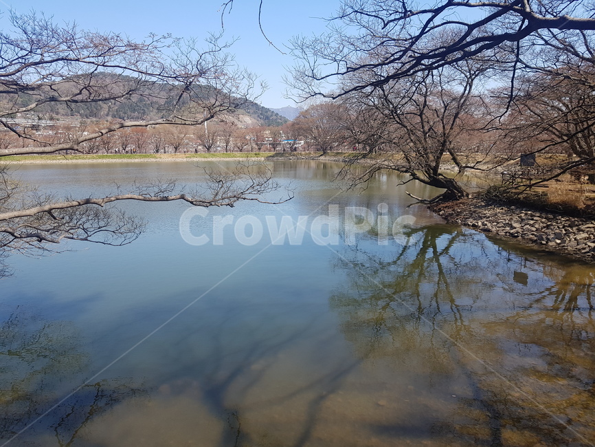 호수,공원,풍경,봄,나무,자연,풍경,nature,landscape,land,땅,outdoors,옥외,water,물