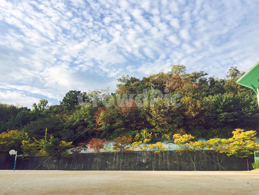 가을,하늘,단풍,알록달록,나무,구름,계절,산,운동장,가을,계절,fall,autumn,season,자연,풍경,nature,landscape