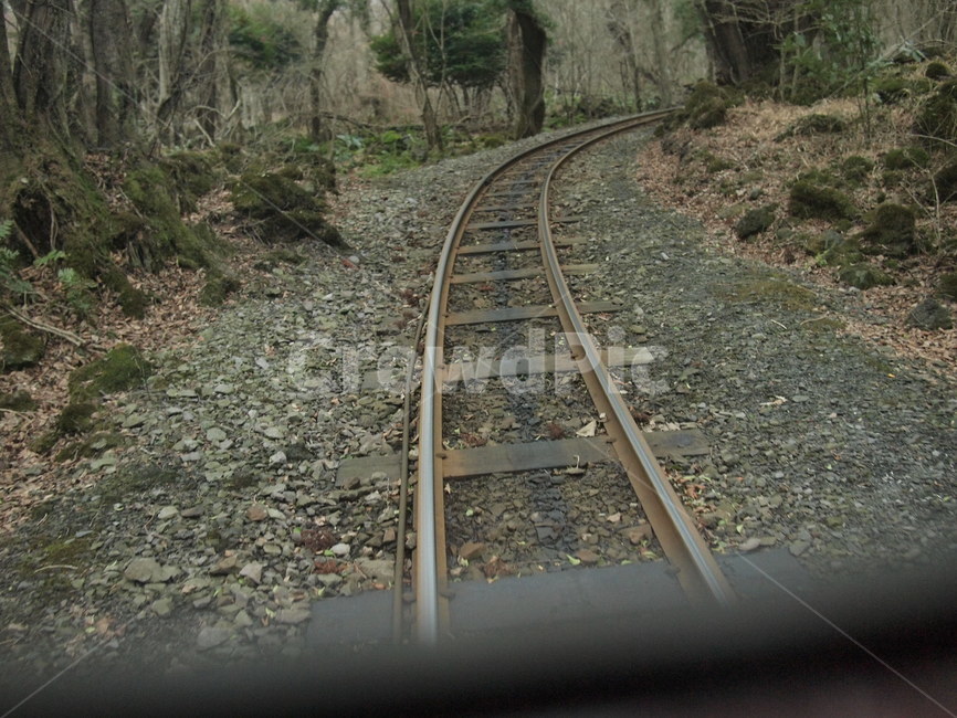 기차길,철길,철로,숲속,이끼,railroad,track,나무,깊은산속
