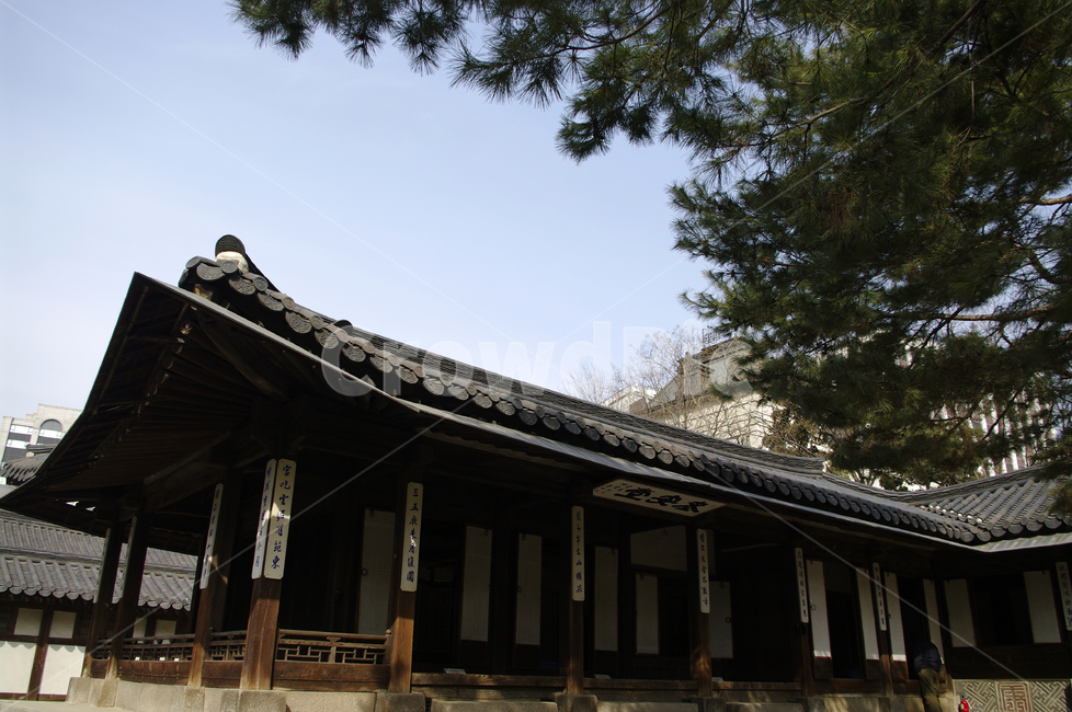 한옥,전통가옥,건축,기와지붕,tradition,노안당,한국전통,한국문화,korean traditional,korean culture