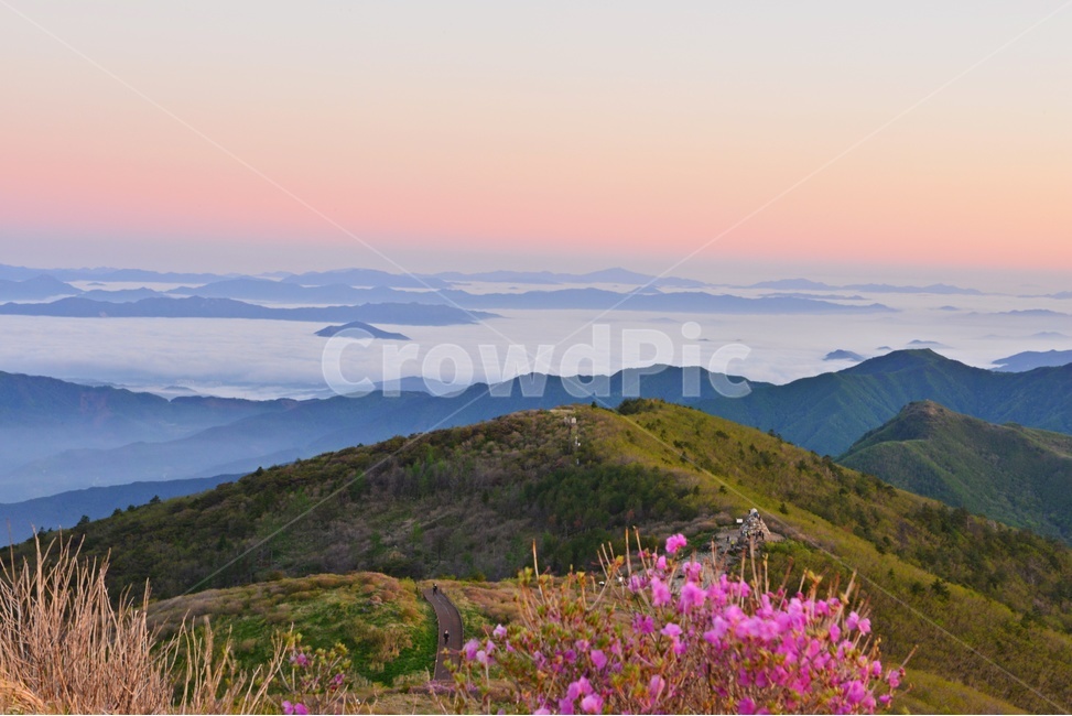 지리산,노고단,노고단일출,아침,여명,일출,해돋이,운해,노고단봄,mountainrange,산맥,mountain,산,nature,자연,outdoors,옥외,노고단철쭉,철쭉꽃,철쭉,자연,풍경,nature,landscape