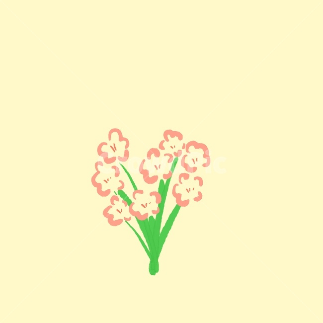 꽃다발,flower,spring,love,사랑,꽃,봄,고백,plant,식물,blossom