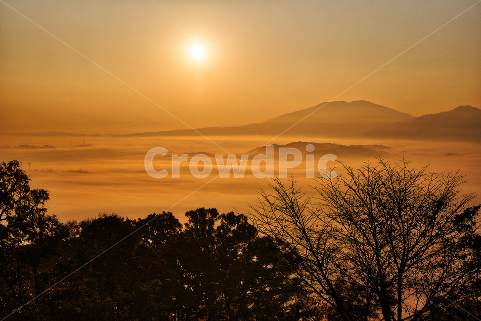 일출,운해,새벽,풍경,산,자연,풍경,nature,landscape,한국자연풍경,한국자연경관,korea nature landscape,light,빛,flare,플레어,sunlight,햇빛,outdoors,옥외