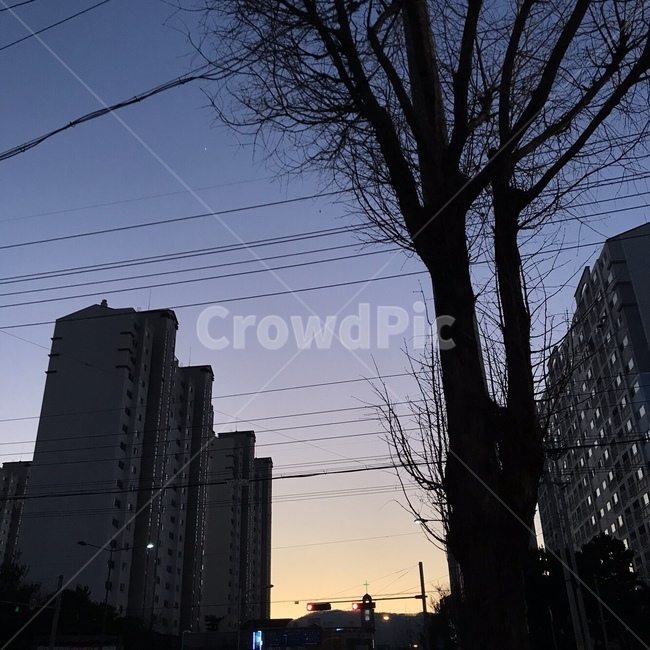 아파트,실루엣,나무,노을,하늘,전봇대줄,가로등,신호등,전력선,케이블,apartment,silhouette,tree,sunset,sky,streetlamp,traffic,powerlines,cable
