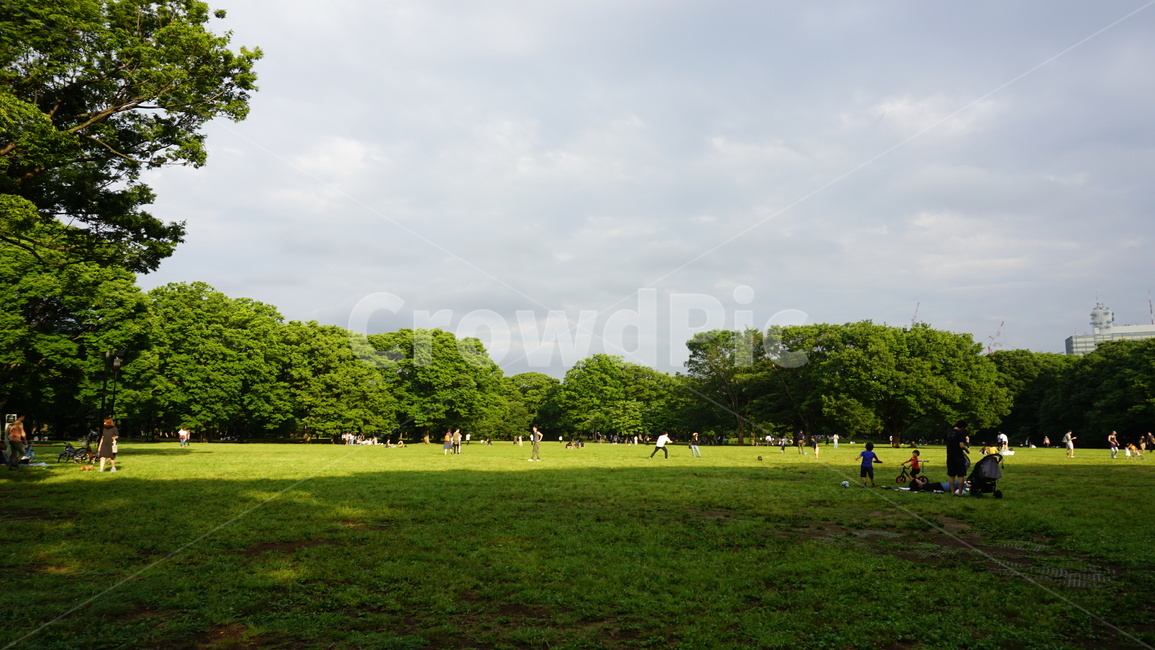 plant,식물,grass,lawn,잔디,park,공원,outdoors,옥외,사람,human,person,인간,그림자,shadow,나무,자연,풍경,nature,landscape