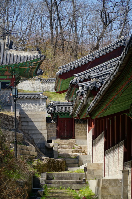 경희궁,고궁,궁궐,궁전,한옥,왕실,왕궁,조선,역사,문화재,history,hanok,culturalassets,culturalproperties,koreanstylehouse,한국,서울,korea,seoul,한국문화,전통문화,한국전통,palace,한국풍경,한국자연,서울풍경,서울자연