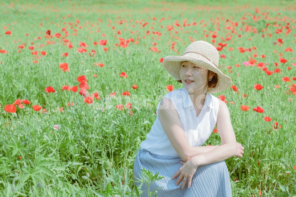 봄,봄꽃,봄소풍,양귀비꽃,모자,봄패션,봄,계절,spring,season,사람,인물,인간,human,person,여성,여자,woman,female,lady,여행,휴가,traveling,vacation,trip,감성,sensible,feeling,hat,sun hat,태양 모자