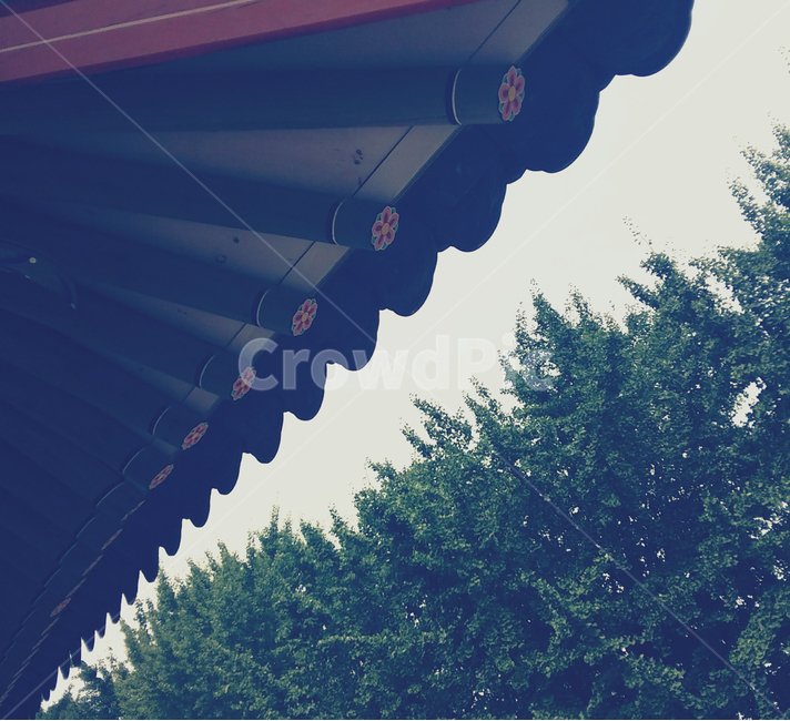 한옥,traditional,forest,숲,나무,한국전통,한국문화,korean traditional,korean culture,건축물,건물외관,exterior,building,structure,architecture,construction