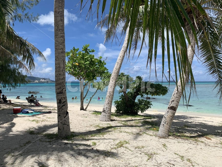 사이판,마하나가섬,마하가나,무인도,섬,바다,야자수,summer,여름,tropical,해변,바다,beach,sea