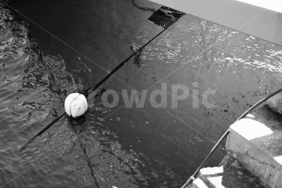 바닷가,부표,물고기,흑백사진,부두,흑백,모노톤,monochrome,black and white