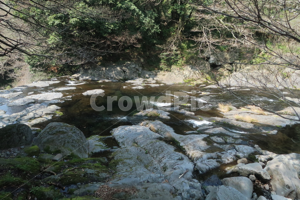 제주도,제주,계곡,계곡물,나무,water,물,nature,자연,outdoors,옥외,jeju,jejuisland,tree